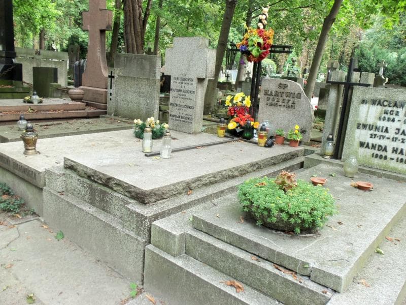 Zdjęcie grobu Józefa Hartwig (1)