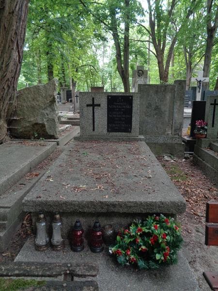 Zdjęcie grobu Jan Nowakowski (1)