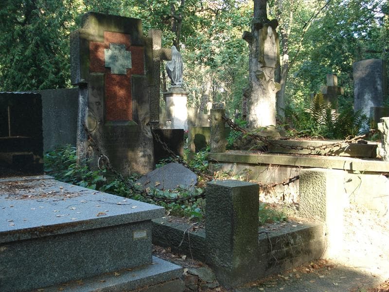 Zdjęcie grobu Władysława Hełczyńska (1)