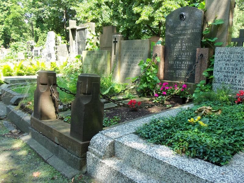 Zdjęcie grobu Janina Jędrzejewska (1)