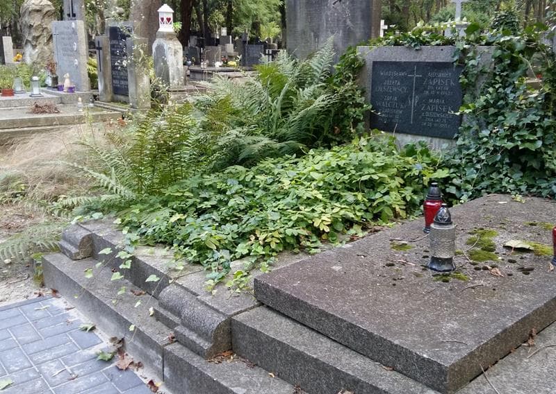 Zdjęcie grobu: Józefa Olszewska