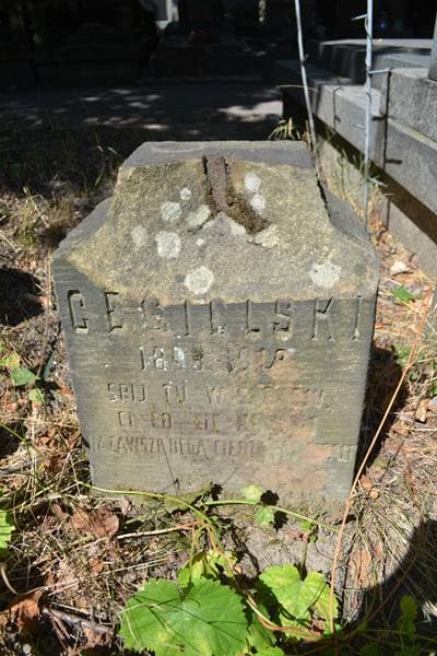 Zdjęcie grobu Józef Cegielski (2)