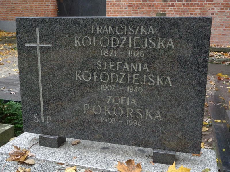 Zdjęcie grobu Stefania Kołodziejska (2)
