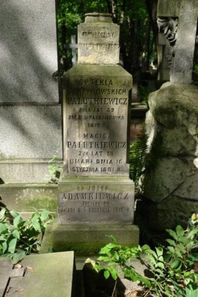 Zdjęcie grobu Józef Adamkiewicz (2)