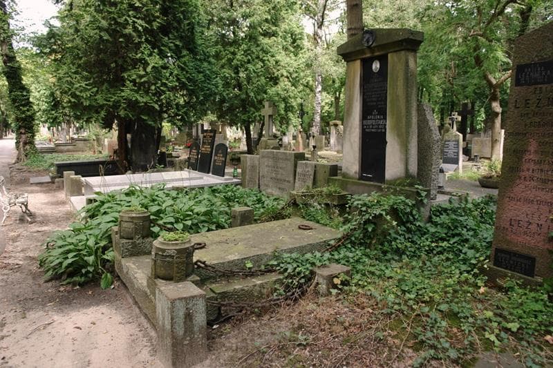Zdjęcie grobu: Apolonia Hieropolitańska