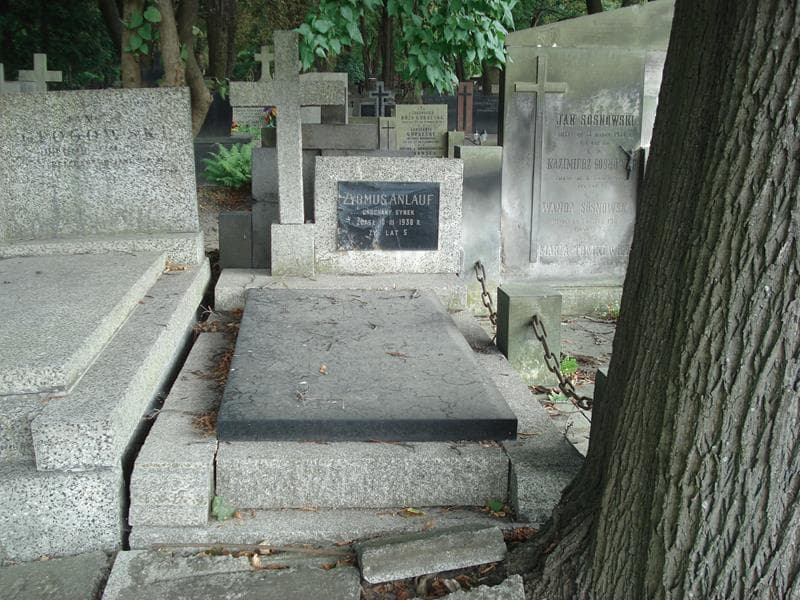 Zdjęcie grobu Emanuel Anlauf (1)