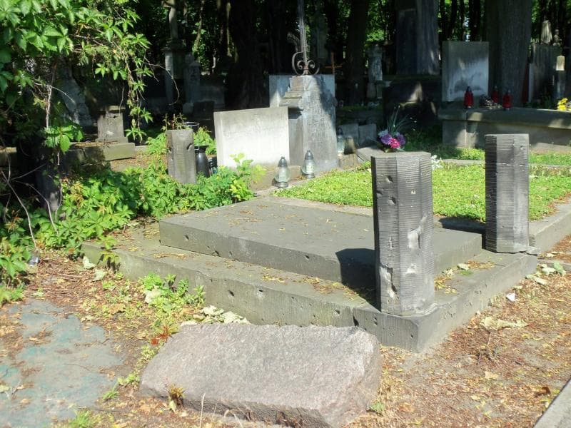 Zdjęcie grobu Luczyńscy (1)