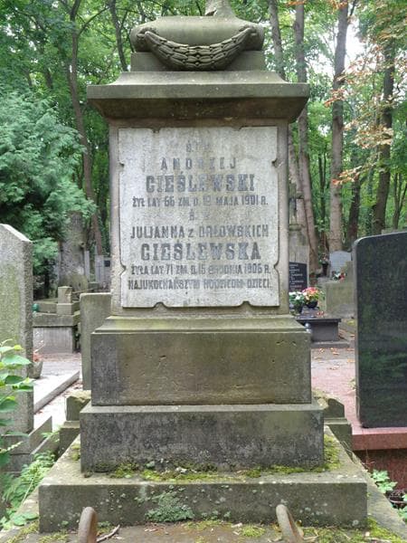 Zdjęcie grobu Andrzej Cieślewski (2)