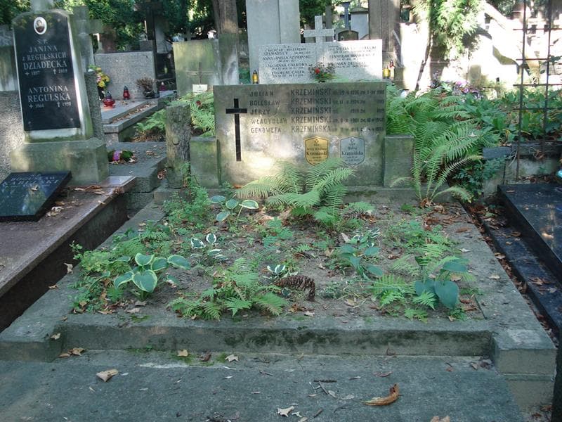 Zdjęcie grobu Władysław Krzemiński (1)