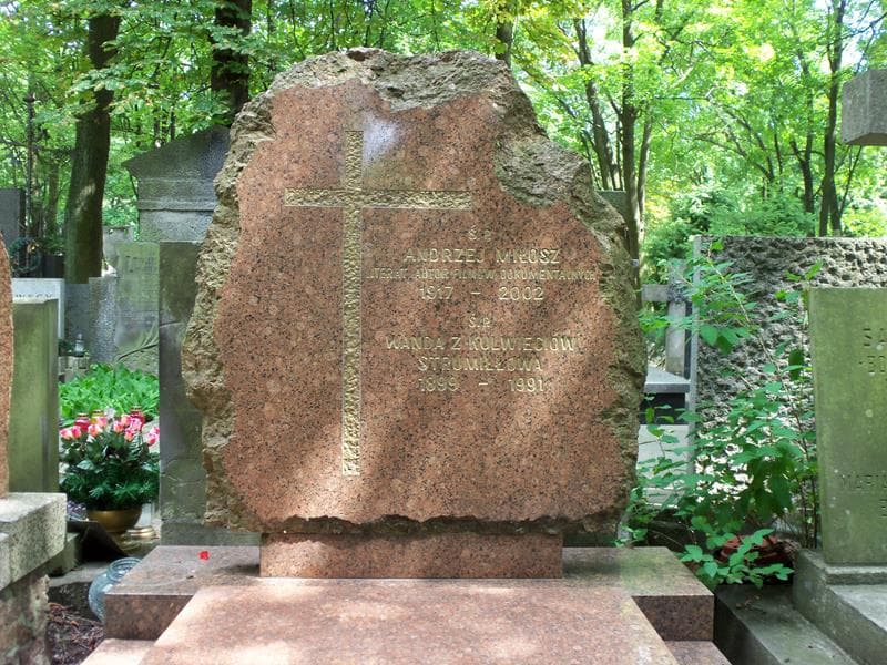 Zdjęcie grobu Wanda Strumiłłowa (2)