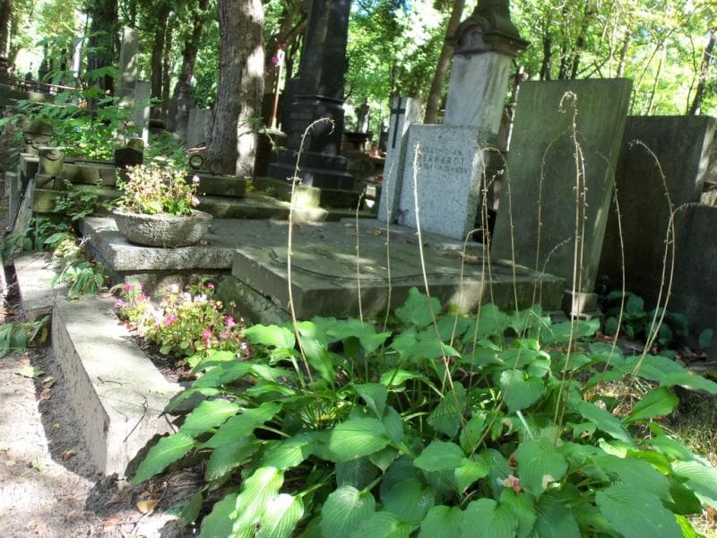 Zdjęcie grobu Edward Waszelewski (1)