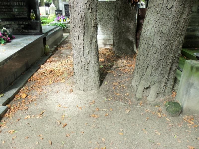 Zdjęcie grobu Anonim (1)