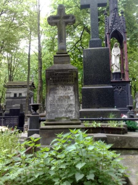Zdjęcie grobu Bronisława Dąbrowska (1)