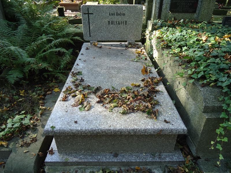Zdjęcie grobu: Bolesław Wolski
