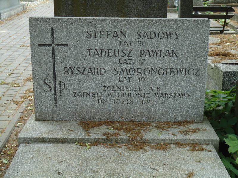 Zdjęcie grobu Tadeusz Pawlak (2)