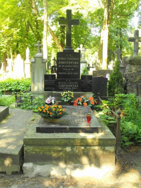 Zdjęcie grobu Władysława Andrzejewska (2)