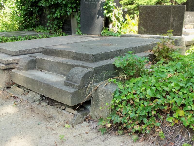 Zdjęcie grobu Ludwik Podsedkowski (2)