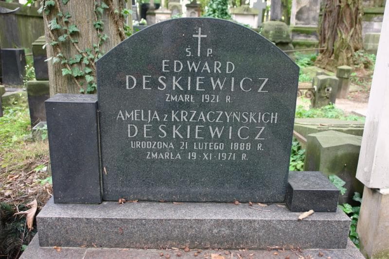 Zdjęcie grobu Antoni Krzaczyński (2)