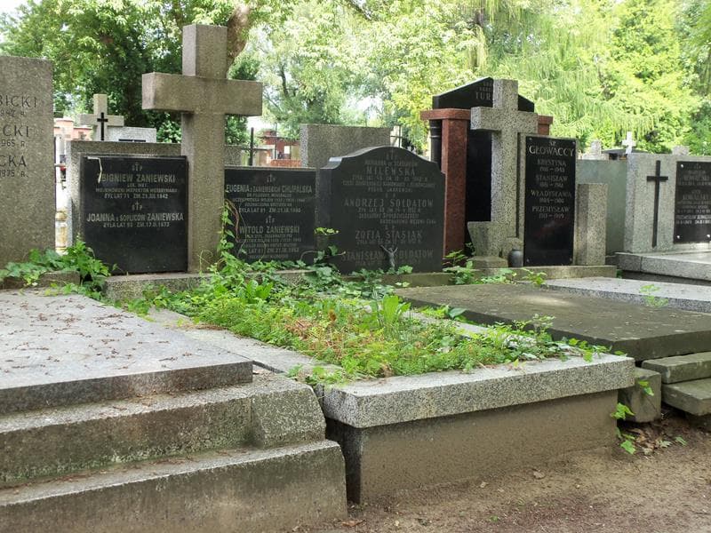 Zdjęcie grobu Eugenia Chlipalska (1)