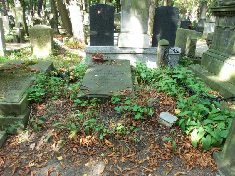 Zdjęcie grobu: Marya Leśniowska