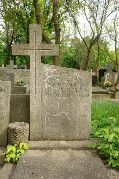 Zdjęcie grobu Michalina Herubin (2)