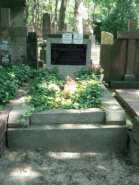 Zdjęcie grobu: Aleksander Jamiołkowski