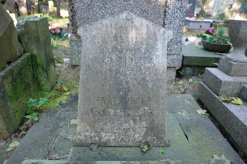 Zdjęcie grobu Franciszek Goździk (2)