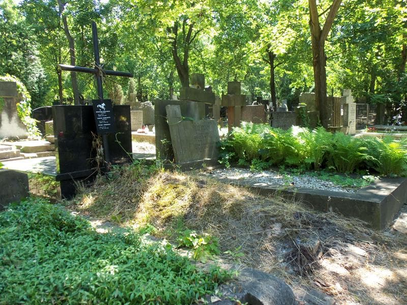 Zdjęcie grobu Tatiana Koźmińska (1)