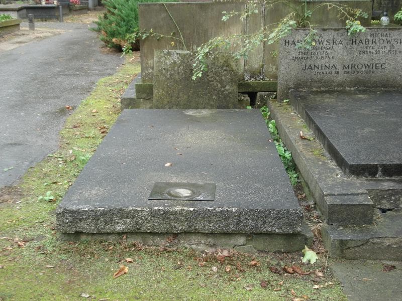 Zdjęcie grobu: Mieczysław Januszkiewicz