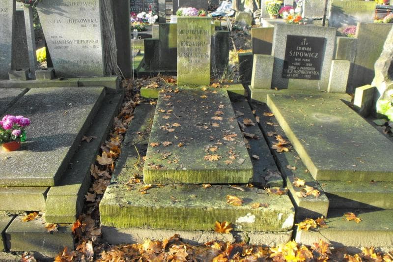 Zdjęcie grobu: Kazimierz Górski