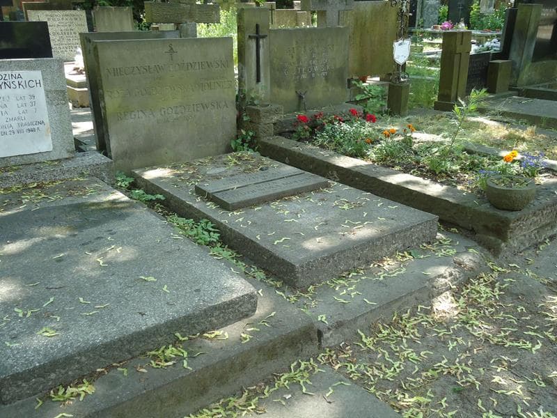 Zdjęcie grobu Mieczysław Goździewski (1)