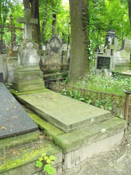 Zdjęcie grobu Stefan Dziewanowski (1)
