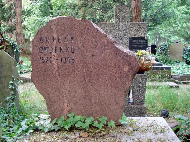 Zdjęcie grobu Aniela Onderko (1)