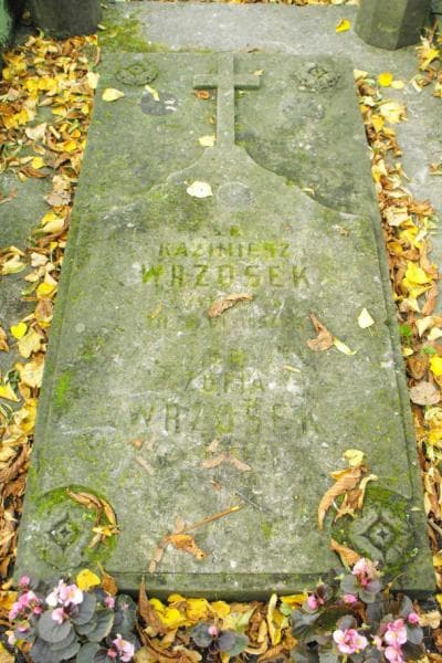 Zdjęcie grobu Kazimierz Wrzosek (1)