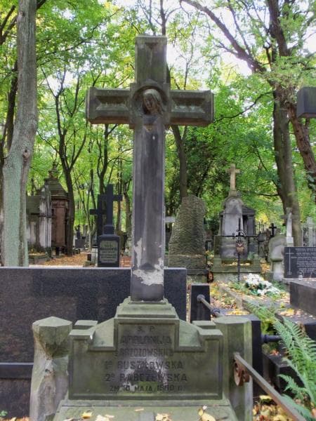 Zdjęcie grobu Michał Ruszkowski (2)