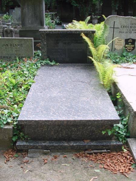 Zdjęcie grobu Piotr Malewski (1)