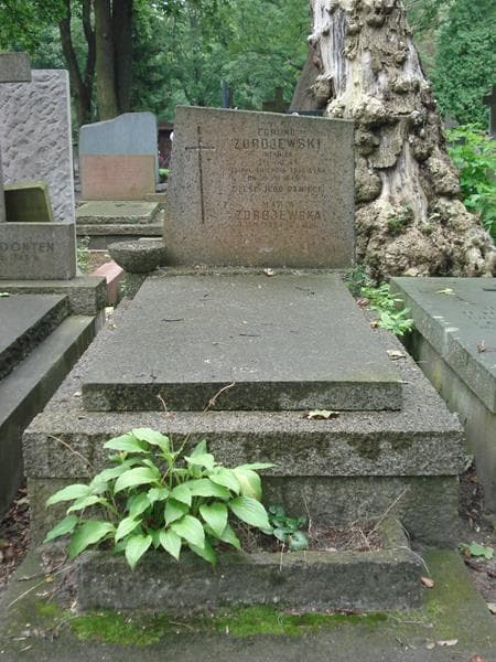 Zdjęcie grobu: Edmund Zdrojewski