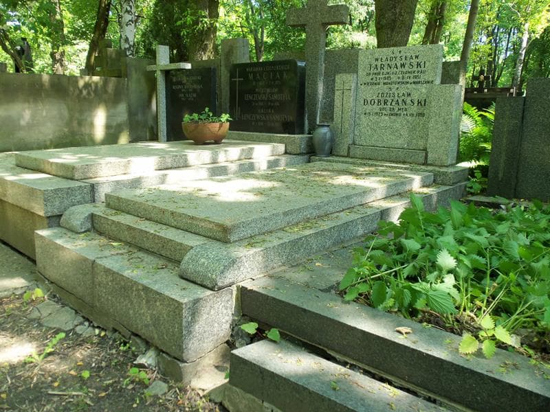 Zdjęcie grobu Władysław Tarnawski (1)