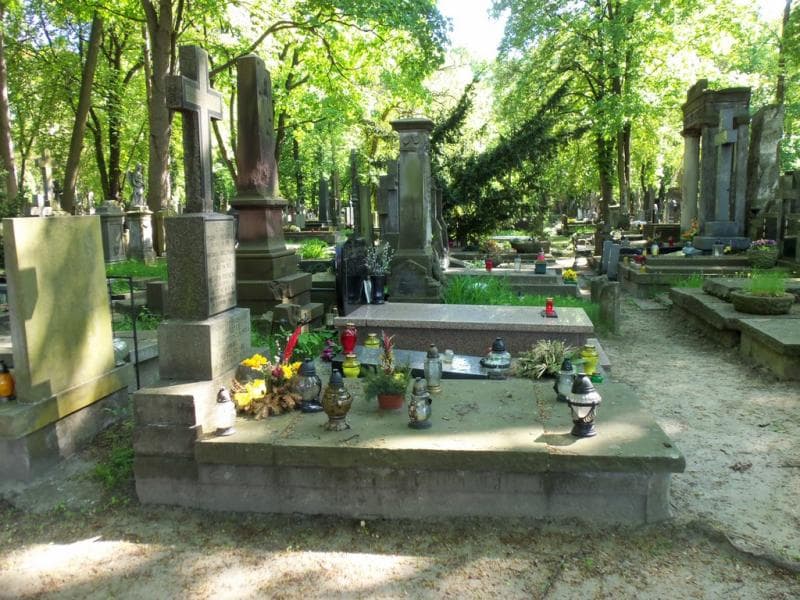 Zdjęcie grobu Stefania Wysocka (1)