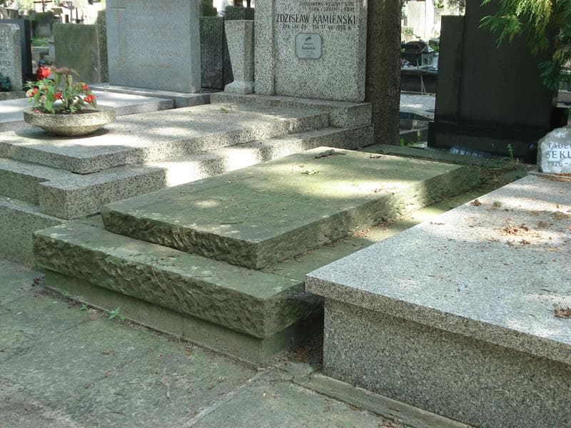 Zdjęcie grobu Michał Trembałowicz (2)