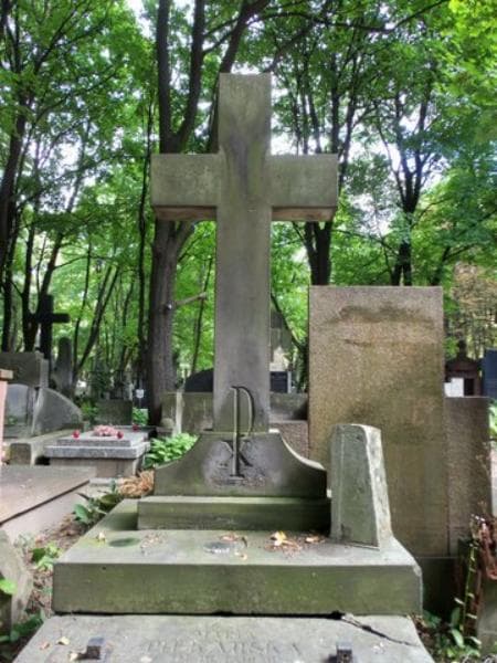 Zdjęcie grobu Zofia Alexandrowicz (2)