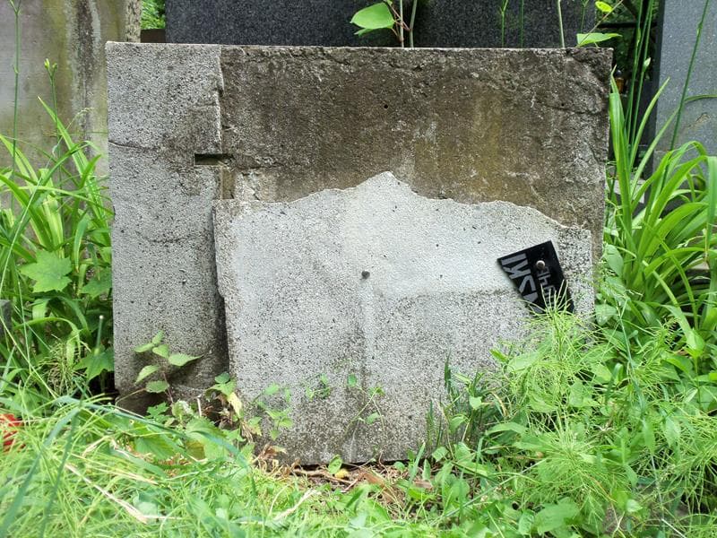 Zdjęcie grobu Rysio Biniewski (2)