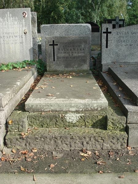 Zdjęcie grobu: Zygmunt Wachowski