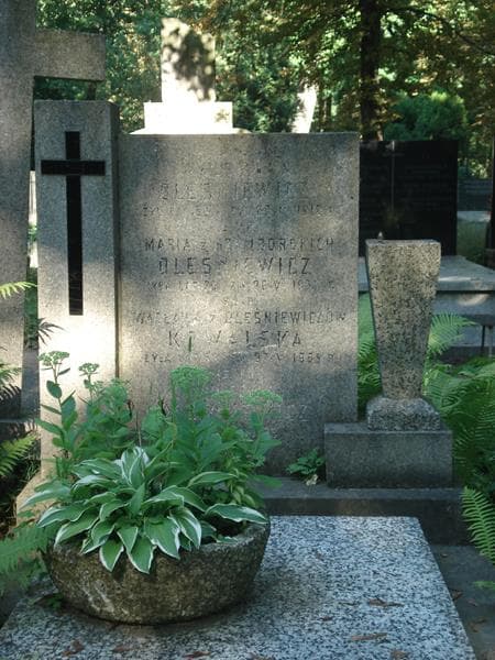 Zdjęcie grobu Maria Oleśniewicz (1)