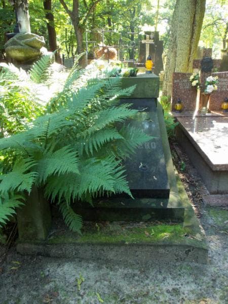 Zdjęcie grobu: Stanisława Górczyńska