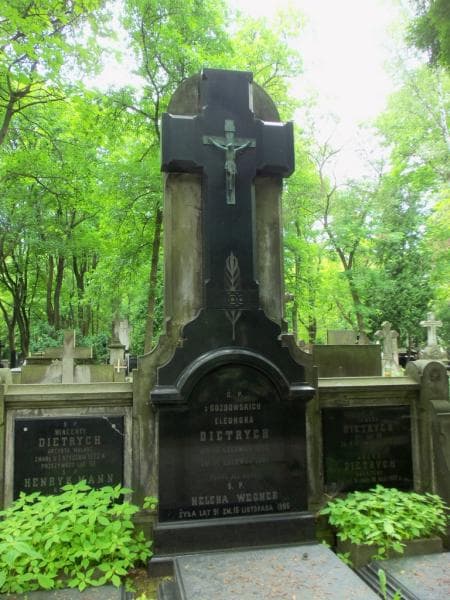 Zdjęcie grobu Henryk Mann (2)