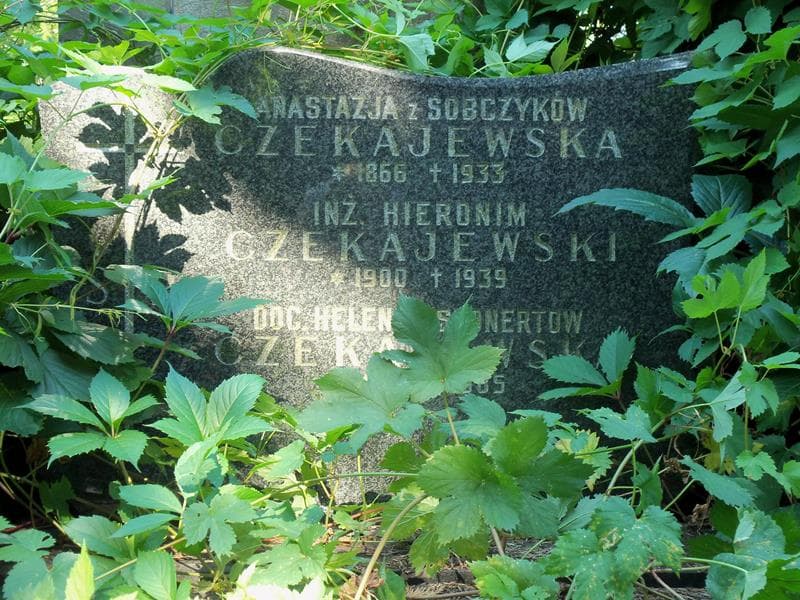 Zdjęcie grobu Anastazja Czekajewska (2)