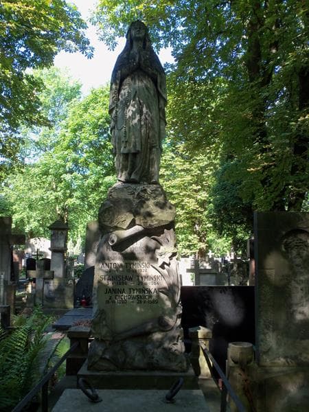 Zdjęcie grobu Antoni Tymiński (2)