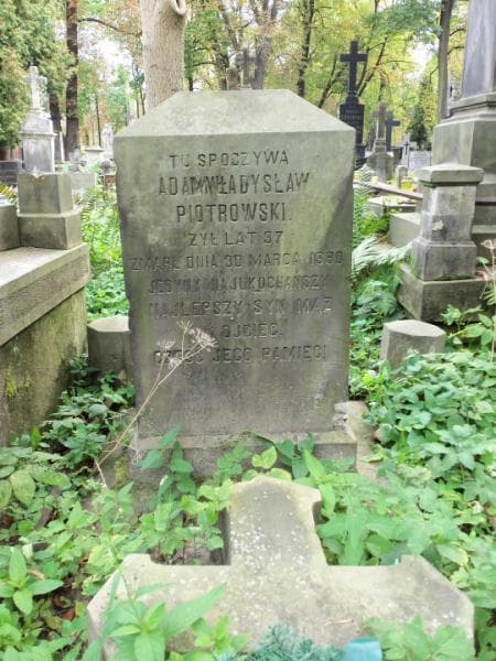 Zdjęcie grobu Adam Władysław Piotrowski (2)