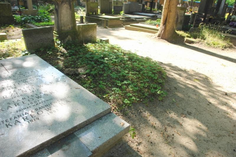Zdjęcie grobu Pole Grobowe (1)